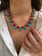 Collar Astro