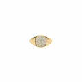 Anillo Bay gold