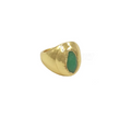 Anillo Saur