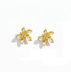 Aros spring